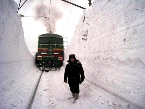 Снова прикольных картинок пост (50 шт)