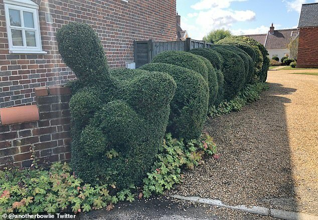 Самые необычные ограды в мире Самые необычные ограды в мире заборы,ландшафтный дизайн,необычное,ограды