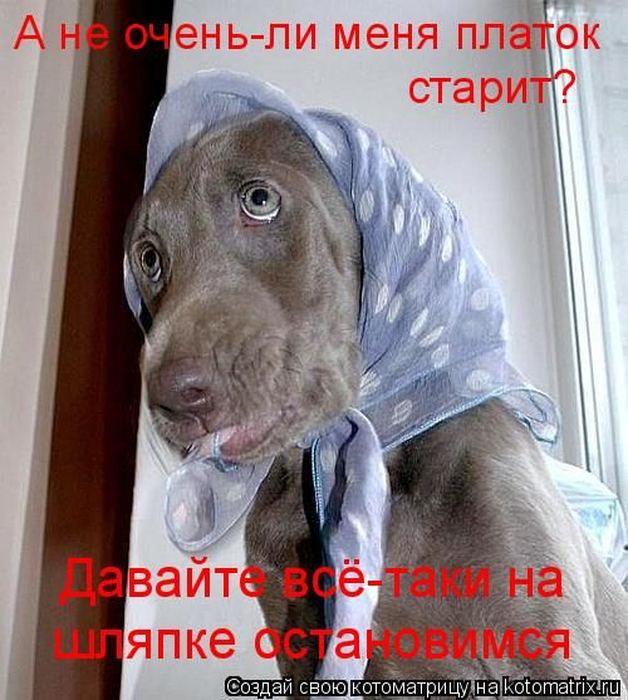 Мысли вслух :)