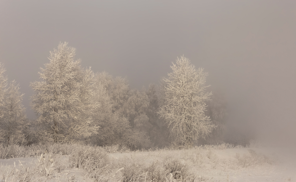 Свинцовый туман - Зима