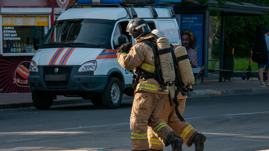 Кто владелец садовода рынка в москве