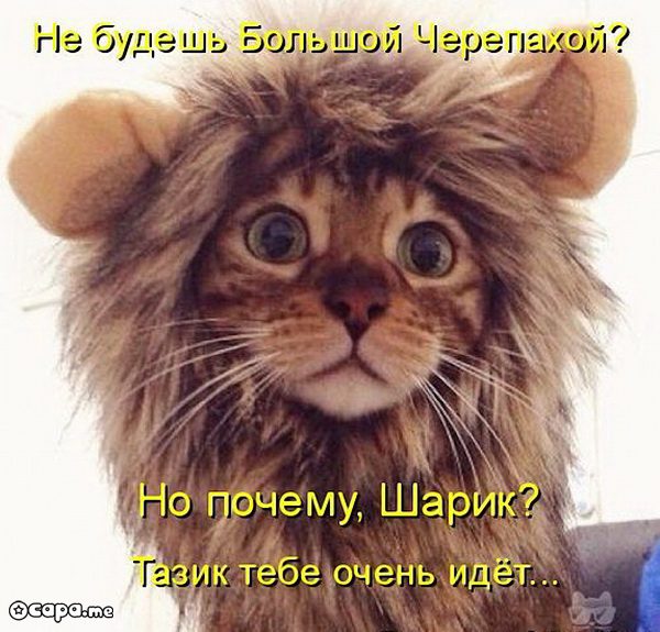 Бажова каменный цветок краткое содержание Бажова каменный цветок краткое содержание