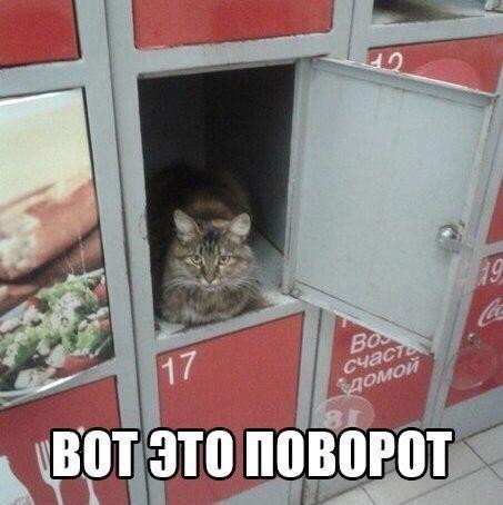 Подборка смешных и веселых надписей к картинкам для улыбки Подборка смешных и веселых надписей к картинкам для улыбки