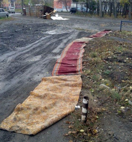 Приколисты приехали Приколисты приехали авто,автомобили,отдых,фотоподборка,юмор