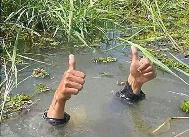 когда тебя спрашивают как жизнь 