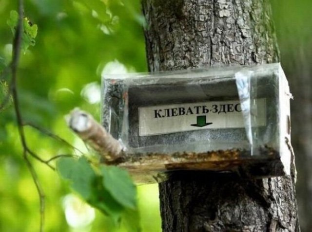 18 веселых народных объявлений 18 веселых народных объявлений