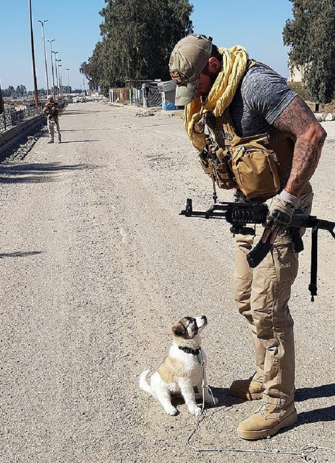 Британский солдат, спасший щенка из-под рухнувшего здания, встретился с ним только через семь месяцев Британский солдат, спасший щенка из-под рухнувшего здания, встретился с ним только через семь месяцев