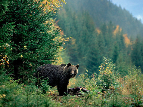 ФОТО SHUTTERSTOCK
