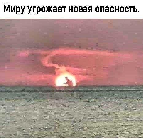 Немного юмора вам в ленту 