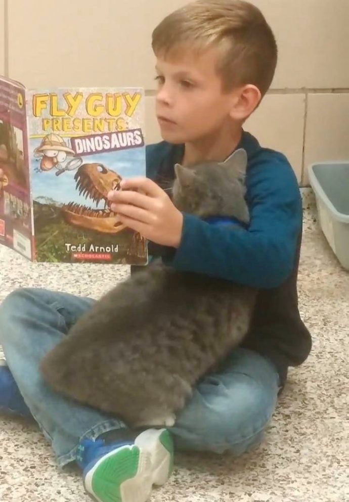 54454