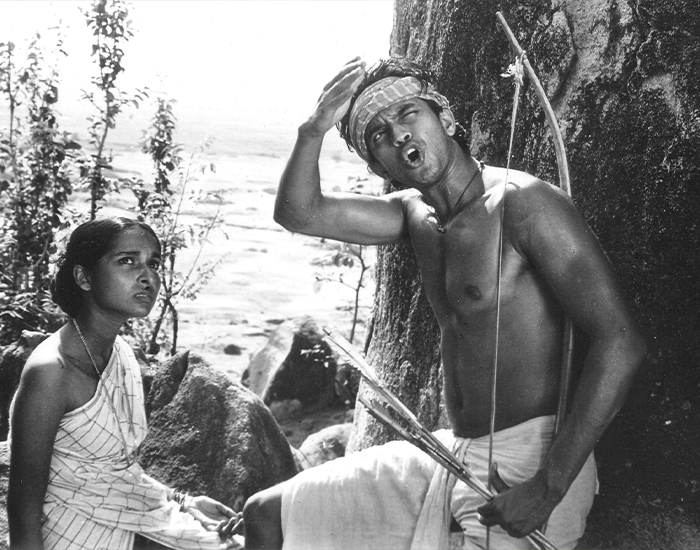 5 фильмов с Митхуном Чакраборти, которые стоит посмотреть каждому 5 фильмов с Митхуном Чакраборти, которые стоит посмотреть каждому Звезды