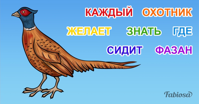 Схема слова фазан