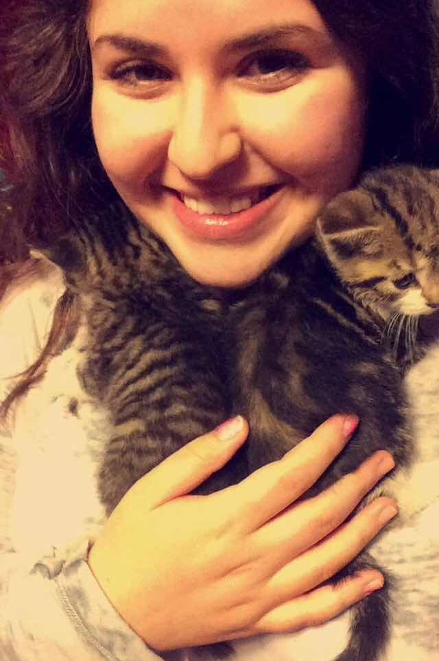 спасенный котенок любит обниматься 