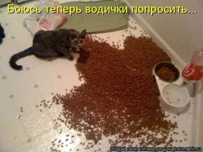 Мысли вслух :)