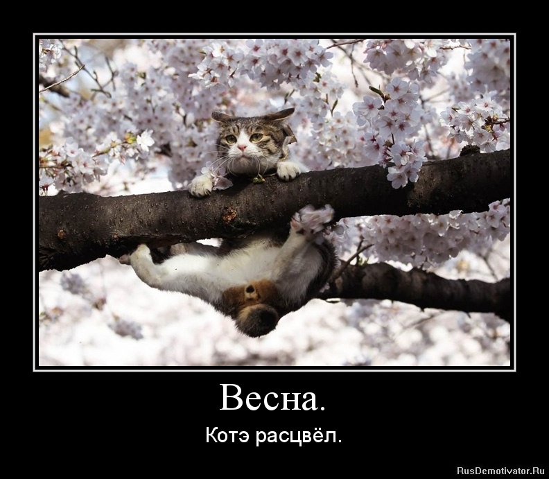 И где весна картинки, скрапбукинг для детей