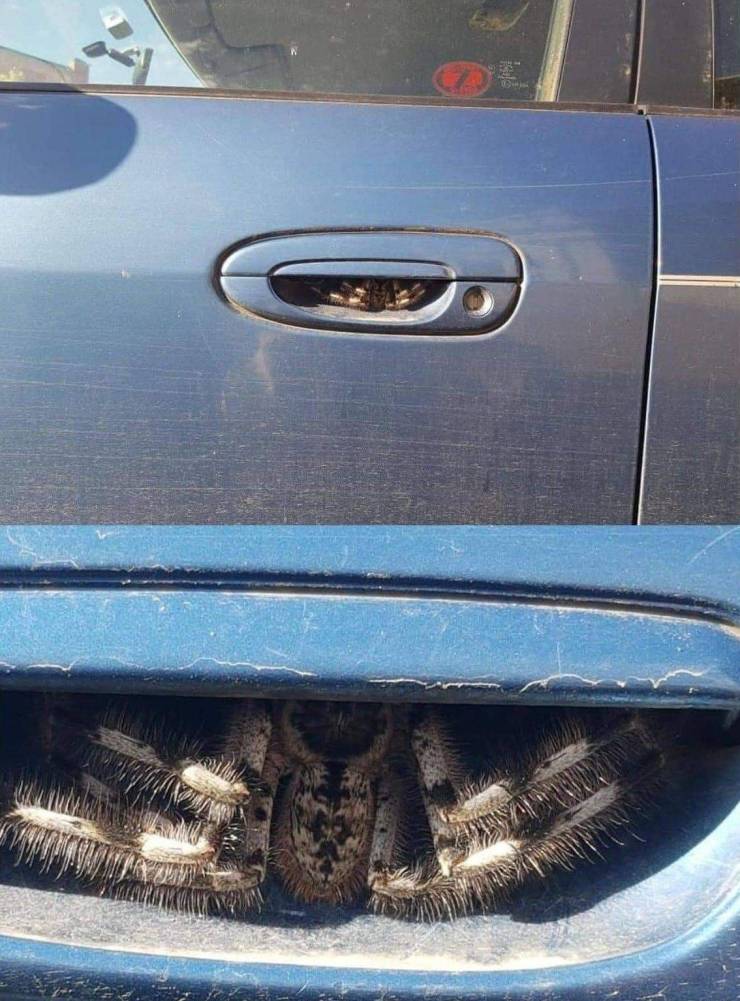 Подборка прикольных картинок Подборка прикольных картинок приколы,смешные картинки,юмор