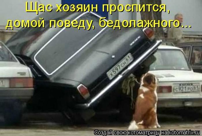 Мысли вслух :)