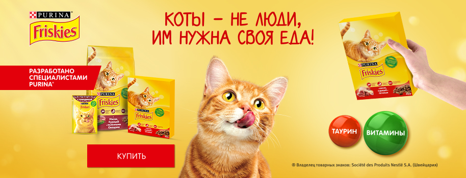 friskies-cat.jpg