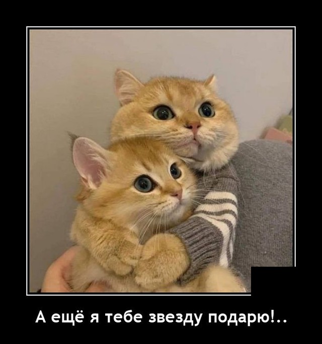 Новые демотиваторы Новые демотиваторы демотиваторы