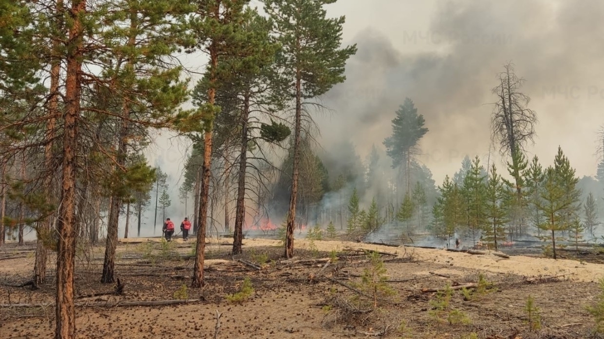 Спасатели ликвидировали 45 лесных пожаров за сутки в Якутии Происшествия