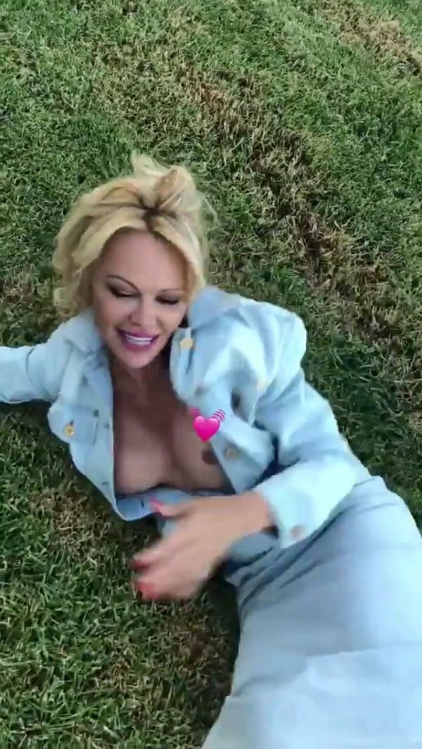 The special edition: Pamela Anderson загадочность, pamela anderson