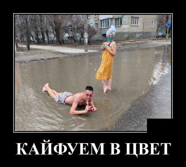 Новые демотиваторы Новые демотиваторы демотиваторы