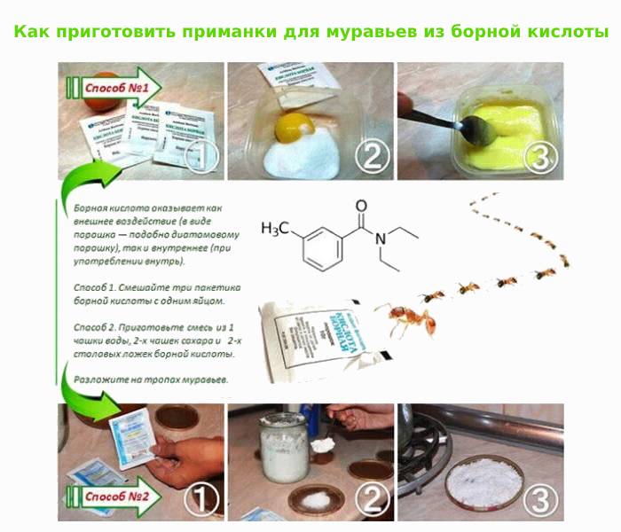 6 способов не допустить попадания тараканов и других насекомых в ваш дом быт,дом,насекомые,полезные советы