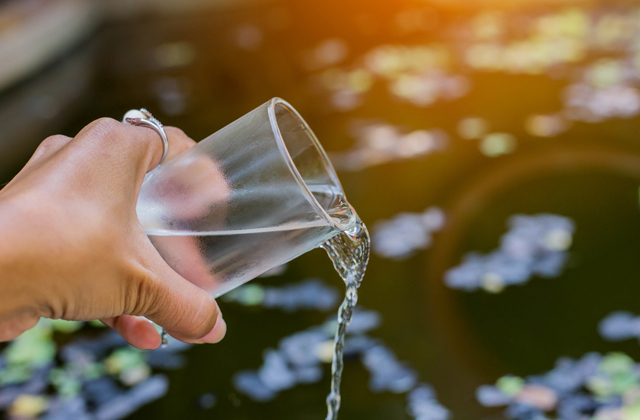 Легко ли француженкам быть худыми Легко ли француженкам быть худыми