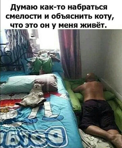 Бывает, встретишь человека. Нормальный, вроде, человек... Весёлые,прикольные и забавные фотки и картинки,А так же анекдоты и приятное общение