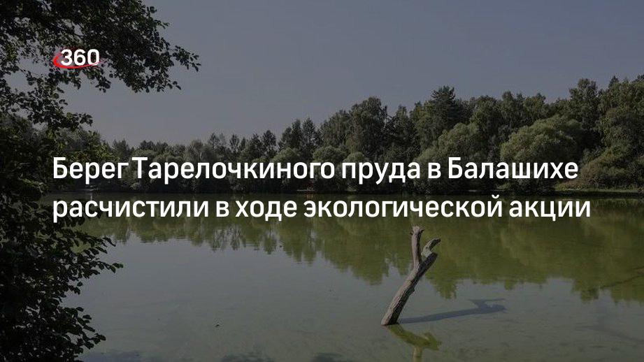 Берег Тарелочкиного пруда в Балашихе расчистили в ходе экологической акции