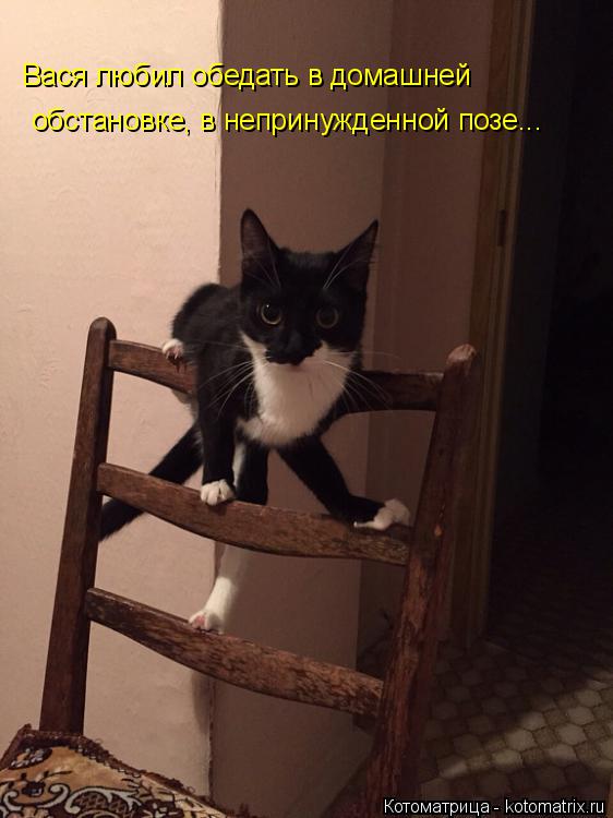 Котоматрица: Вася любил обедать в домашней обстановке, в непринужденной позе...