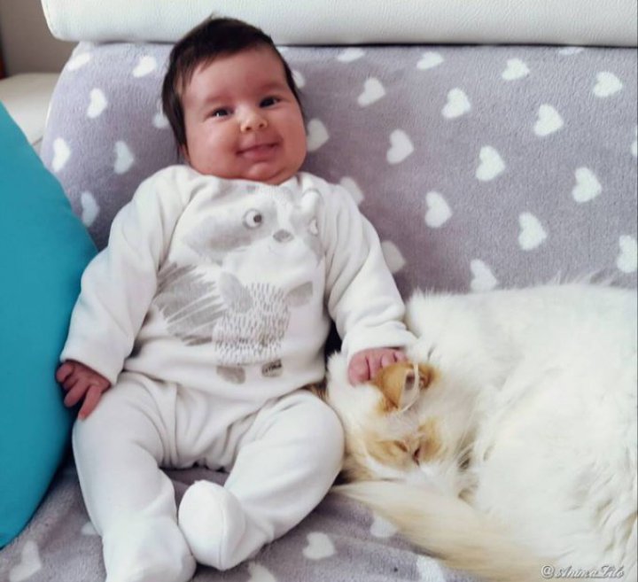 кошка нянчится с ребенком