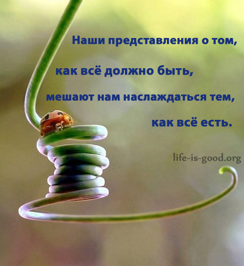 Позитивные высказывания в картинках