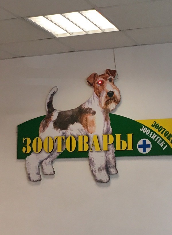 Когда фаната терминатора взяли на работу маркетологом в зоомагазин акция, маркетинг, прикол, юмор