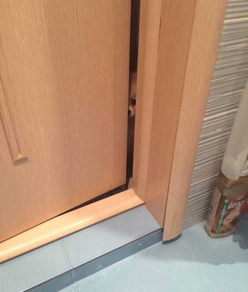 Подборка картинок. Дневной выпуск (54 фото)