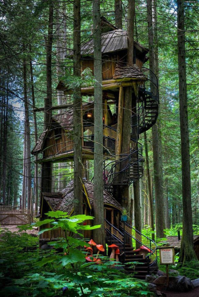 3. Трехуровневый домик на дереве в Британской Колумбии, Канада. в мире, дом