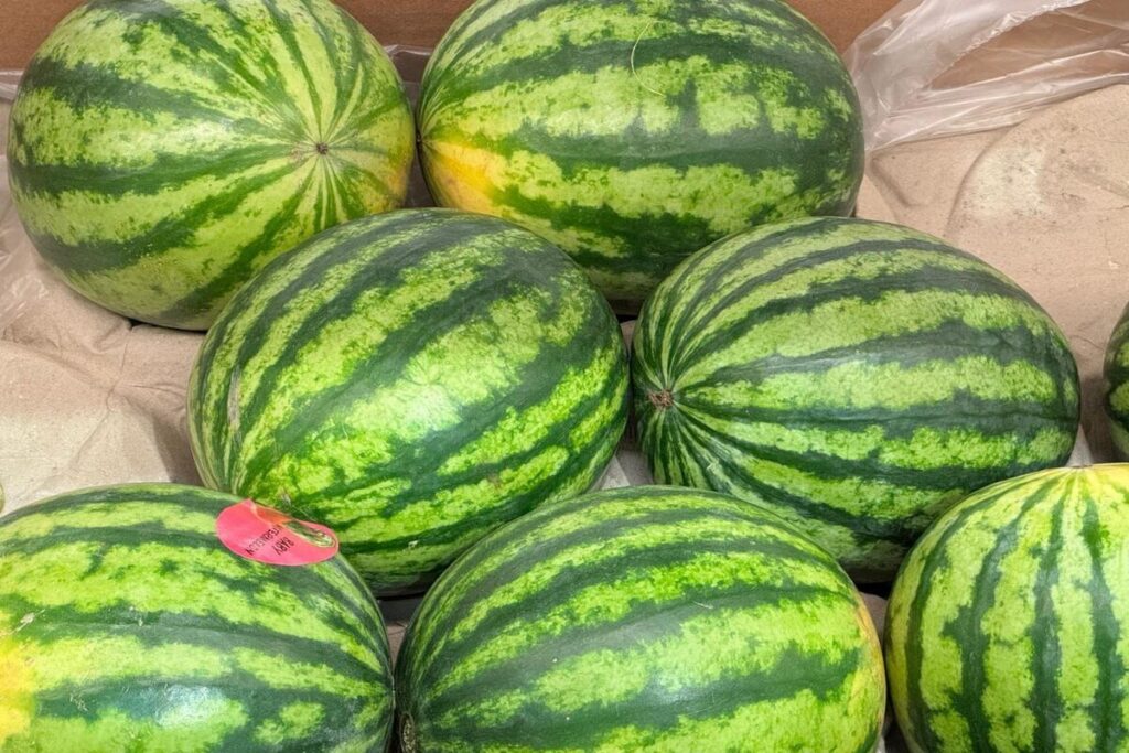 Безопасный арбуз: названа допустимая суточная норма