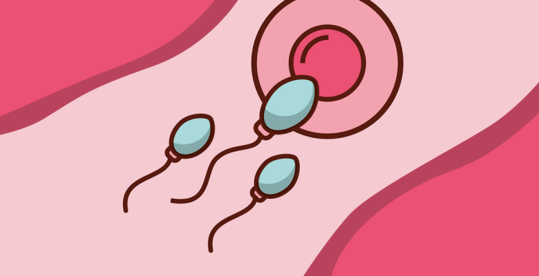 Бум искусственного оплодотворения: что случилось с мужской фертильностью?