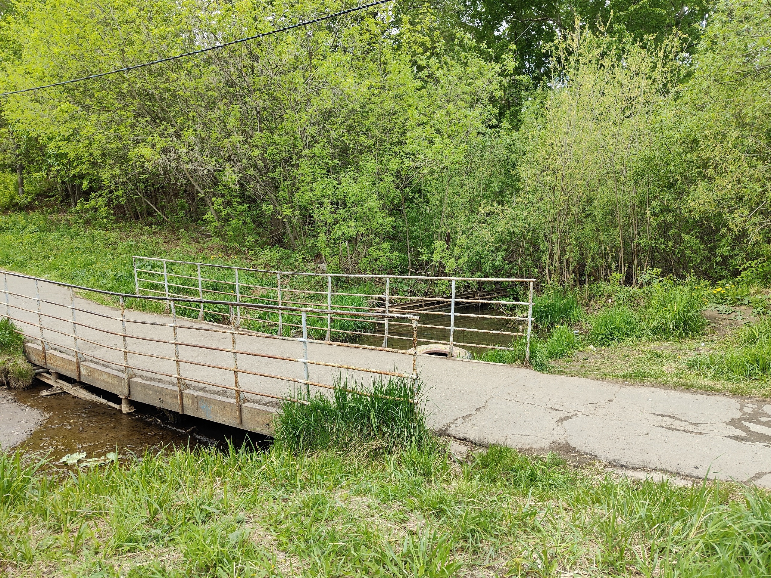 Благоустройство набережной реки Карлутки в ижевском парке «Берёзовая роща» отложили на 2024 год 