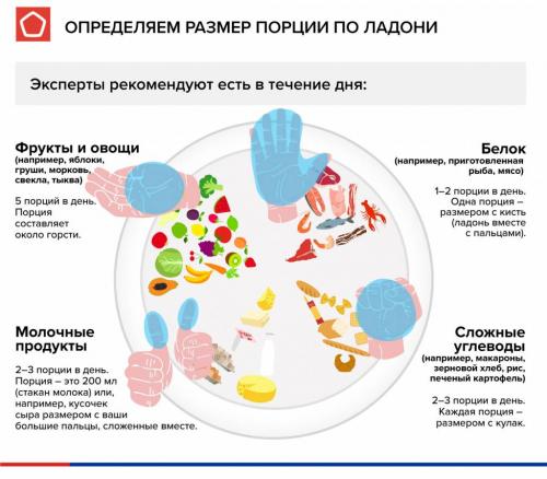 Как определить идеальный размер порции. Как определить правильный размер порции при правильном питании 04