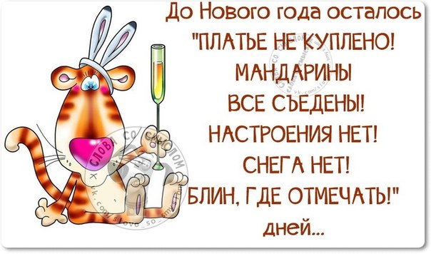 Прикольные фразочки в картинках :) Прикольные фразочки в картинках :)