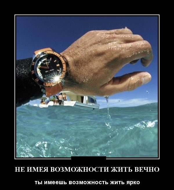 Демотиваторы - приколы!