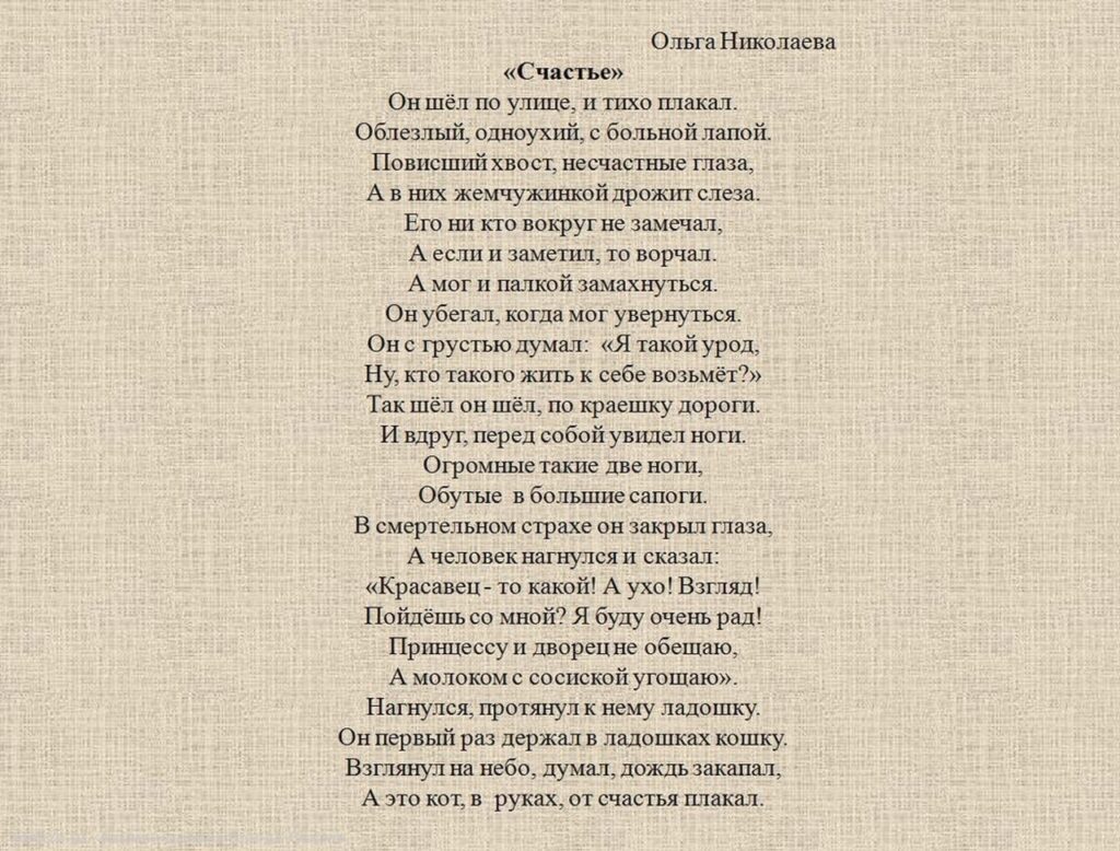 В Рязани подвели итоги благотворительной акции «Истории спасённых животных»