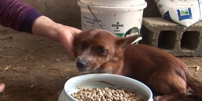 Разлука с подругой Разлука с подругой истории из жизни