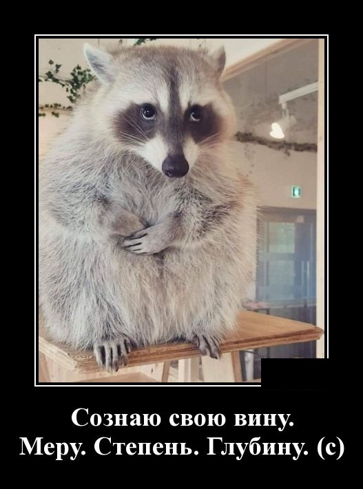 Подборка смешных демотиваторов из нашей жизни Подборка смешных демотиваторов из нашей жизни свежие демотиваторы 2019