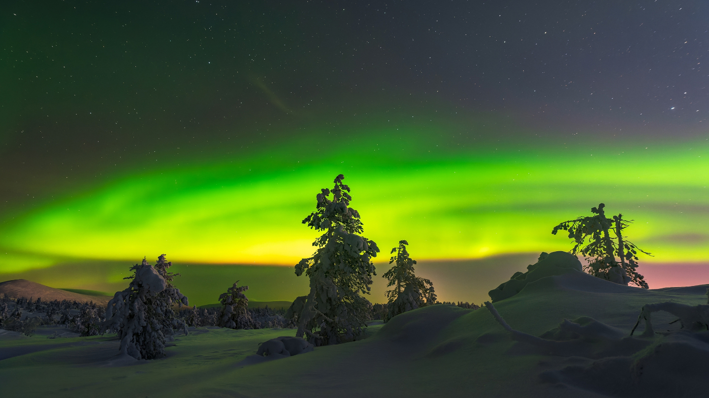 Териберка: что стоит сделать в этом селе Мурманской области можно, здесь, Териберке, Териберка, местных, увидеть, всего, полюбоваться, динозавров», Териберки, время, места, летом, северным, Териберку, которые, поймать, здание, самостоятельно, займет