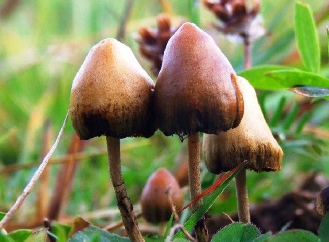 Это интересно знать