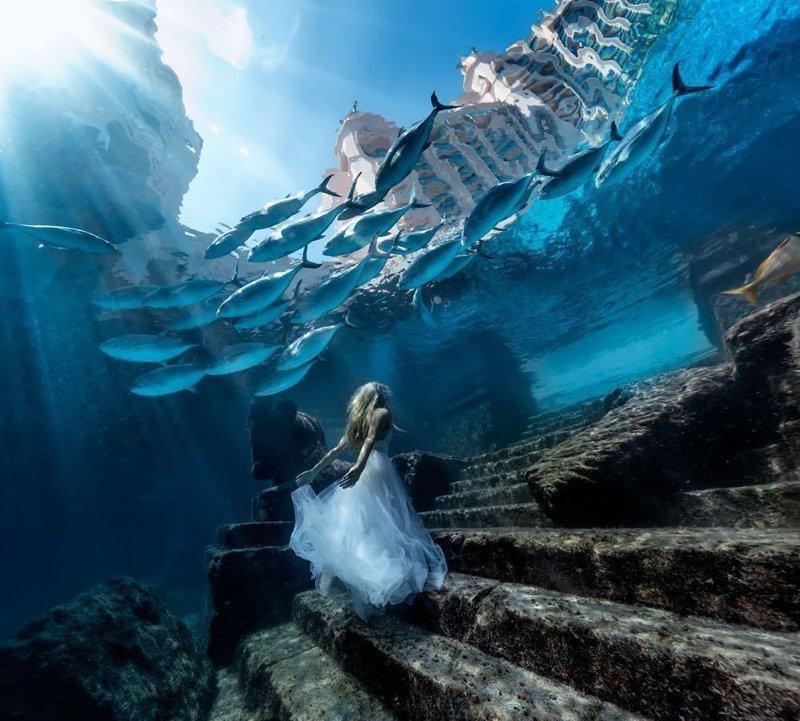 Невеста из подводного царства классные фотографии, необычные фотографии, удивительные фотографии, фото без фотошопа