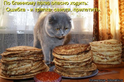 Новая котоматрица  