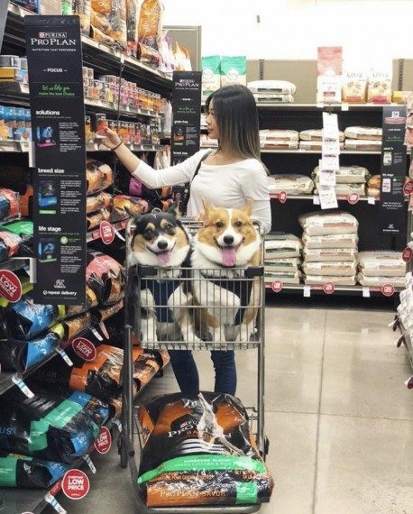 Самые позитивные картинки и фотки Самые позитивные картинки и фотки